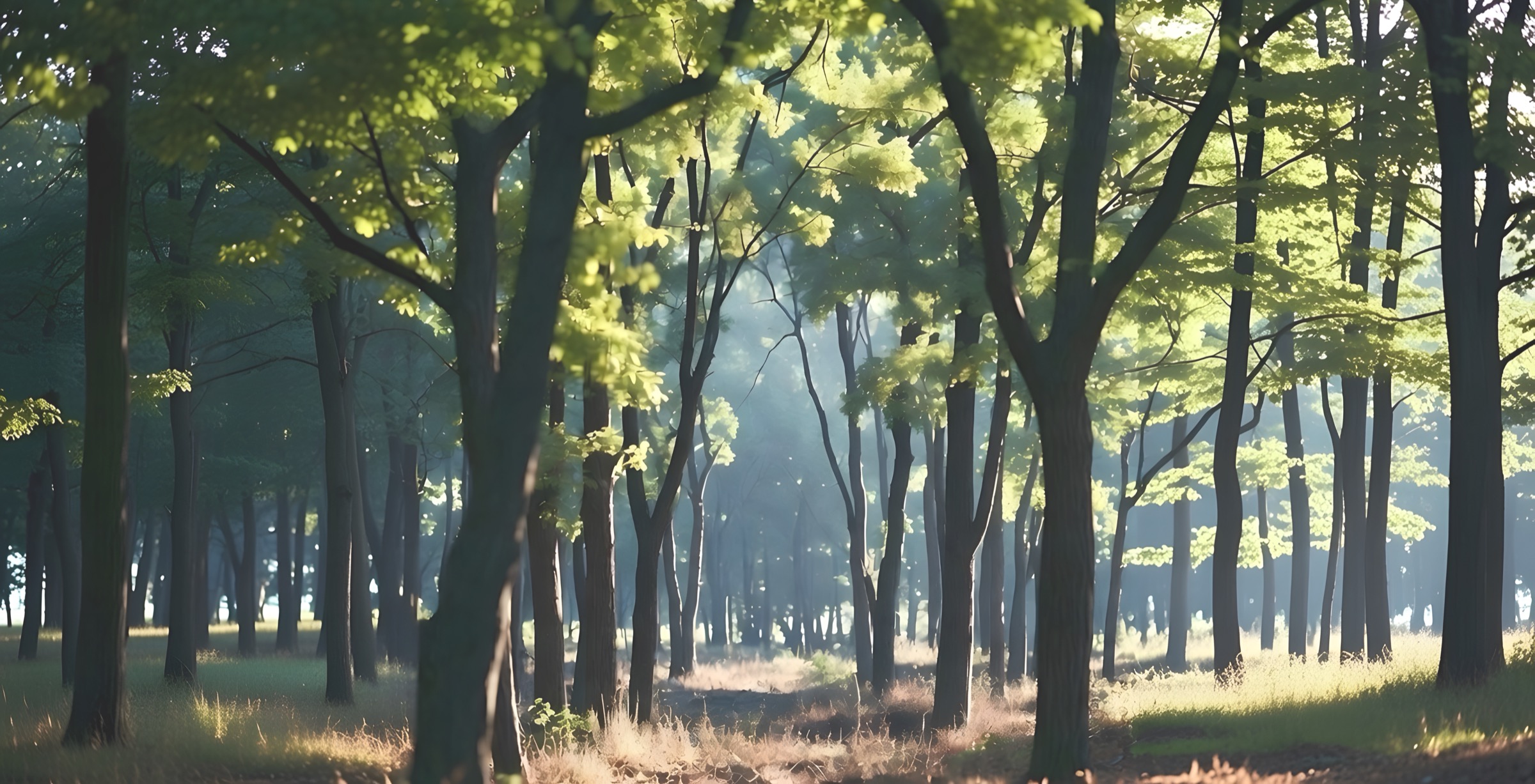 Sunlit forest landscape